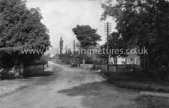 The Village, Margaretting, Essex. c.1905